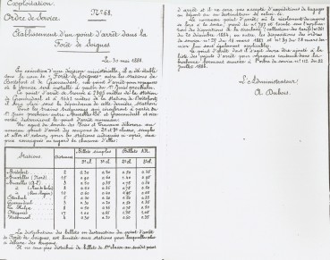 Forêt de Soignes - ouverture 18880.jpg
